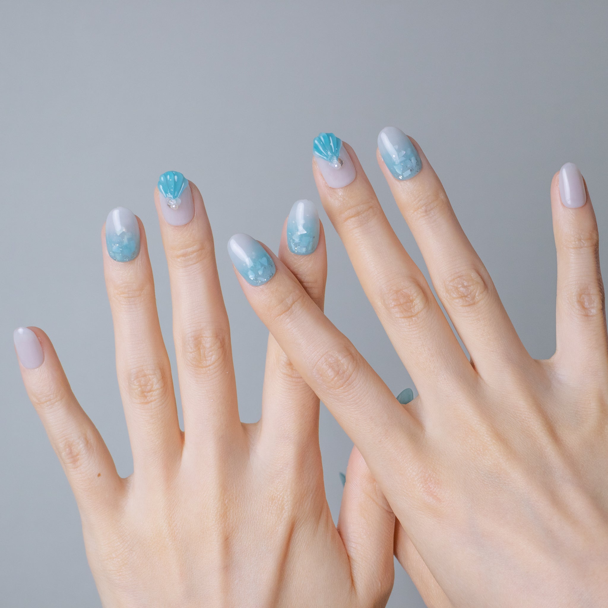 Shell Blue