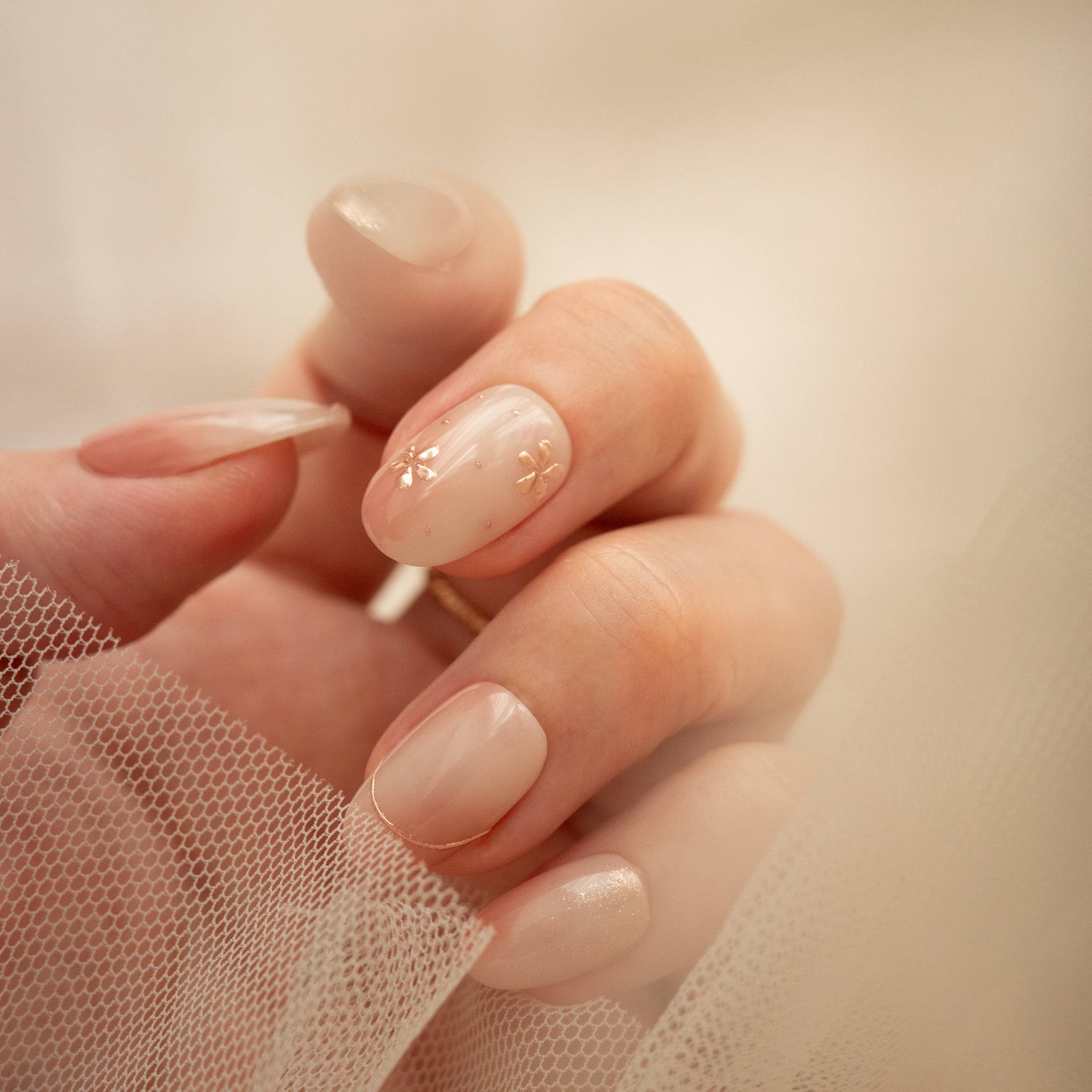 Rosy Bloom