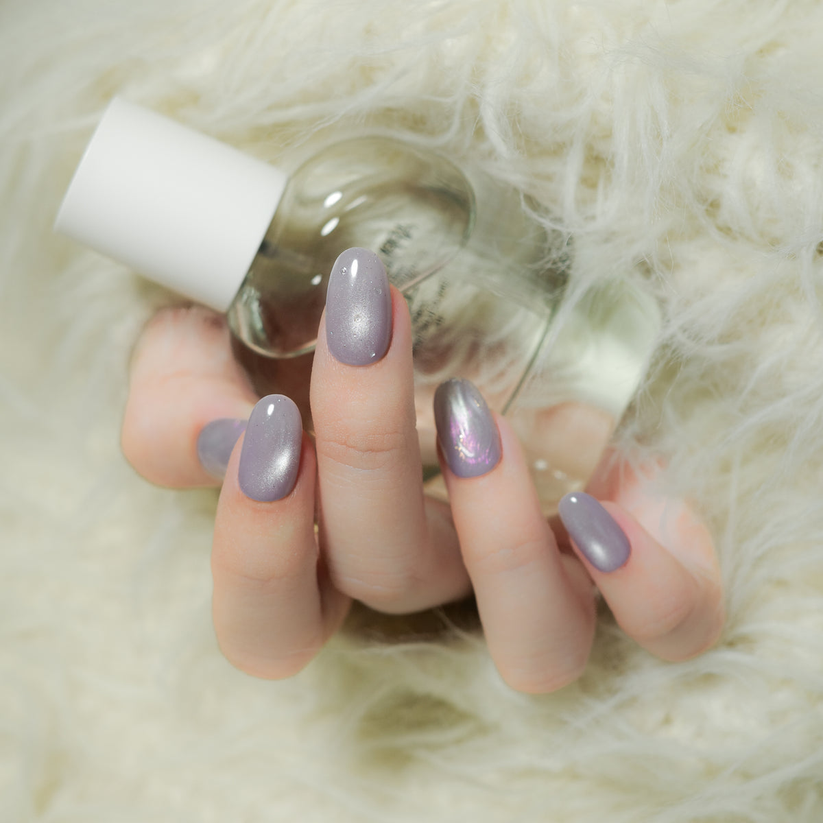 Lavender Chiffon