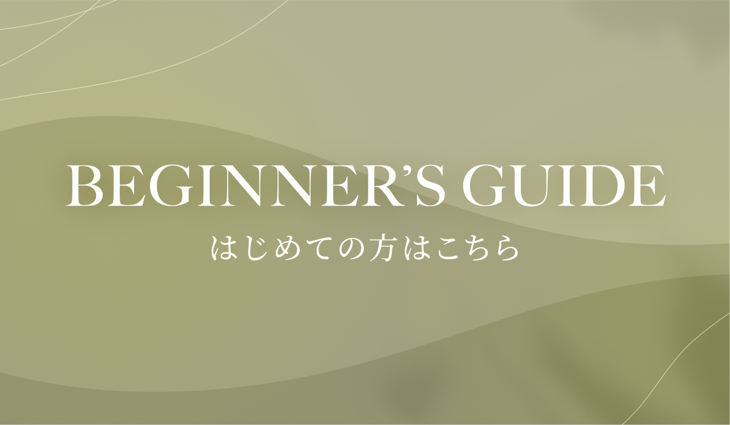 Beginner's Guide