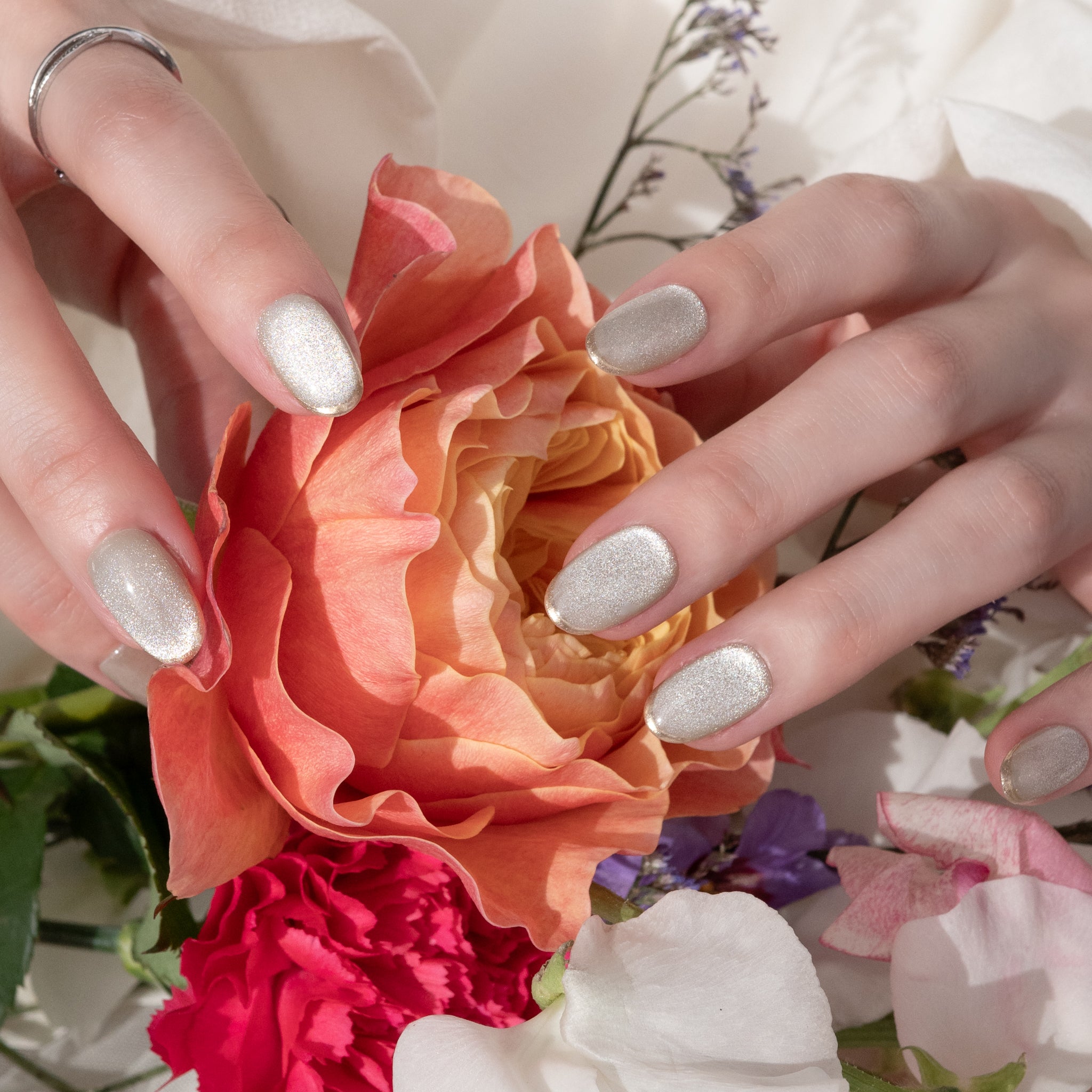 EVER NAIL ネイルチップ 10個セット Magnet No.010