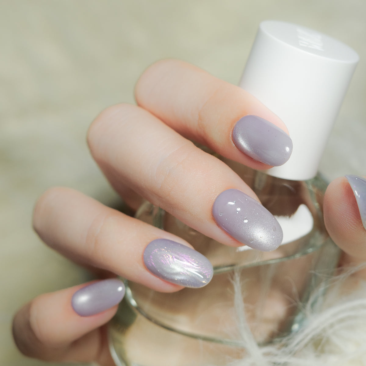 Lavender Chiffon